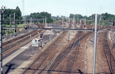 Denderleeuw - TH 80-7296.jpg